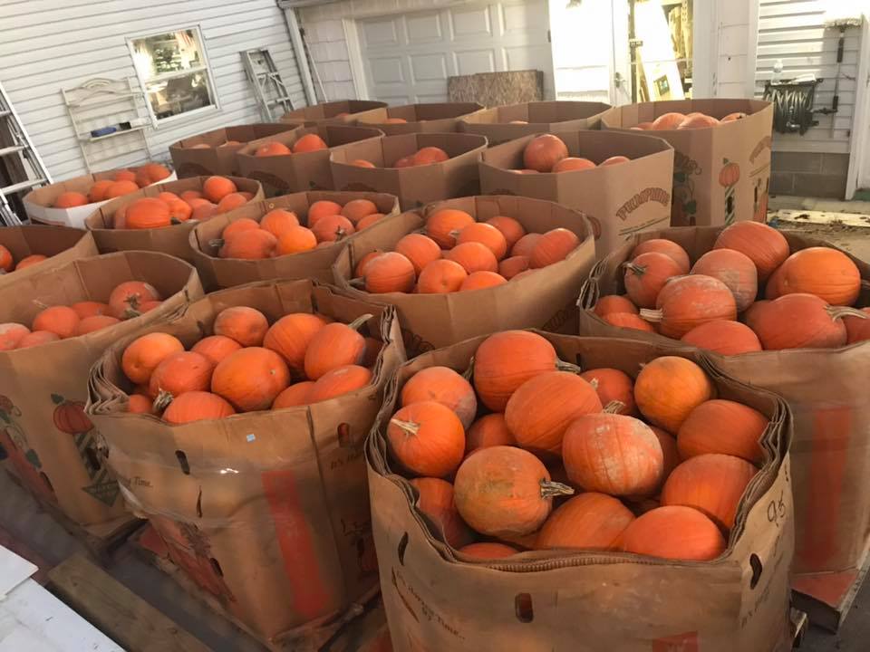 Large cardboard bins filled with orange pumpkins outside a garage