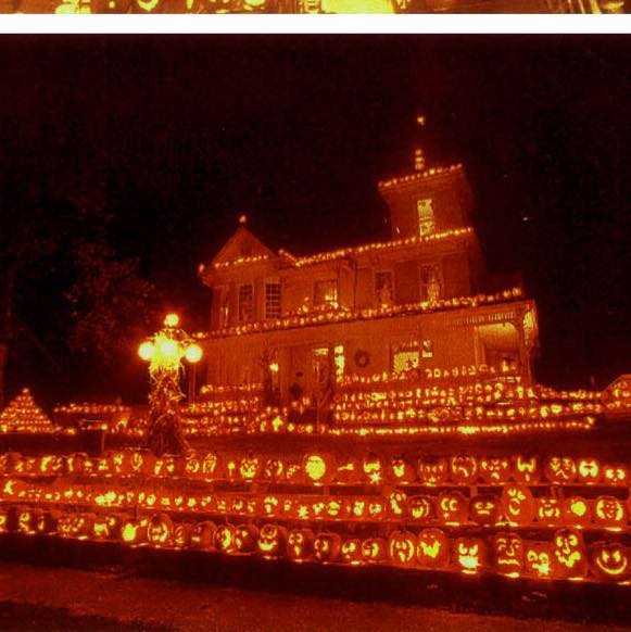Rows of intricately carved jack-o'-lanterns glowing warmly on tiered shelves